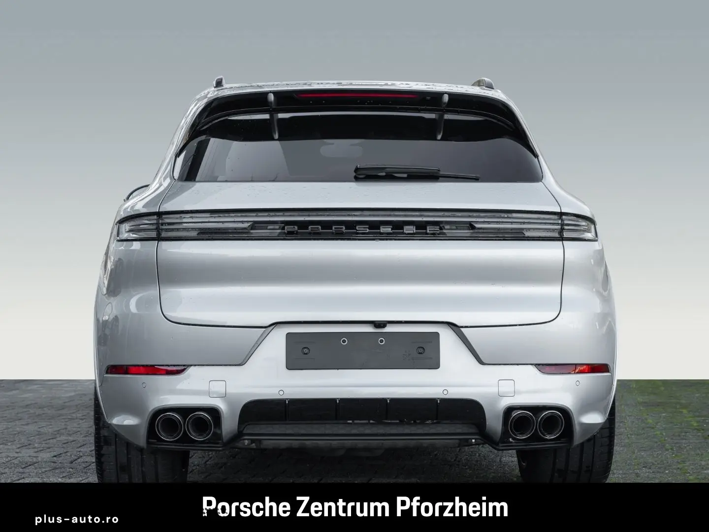 PORSCHE Cayenne E-Hybrid Sportabgas