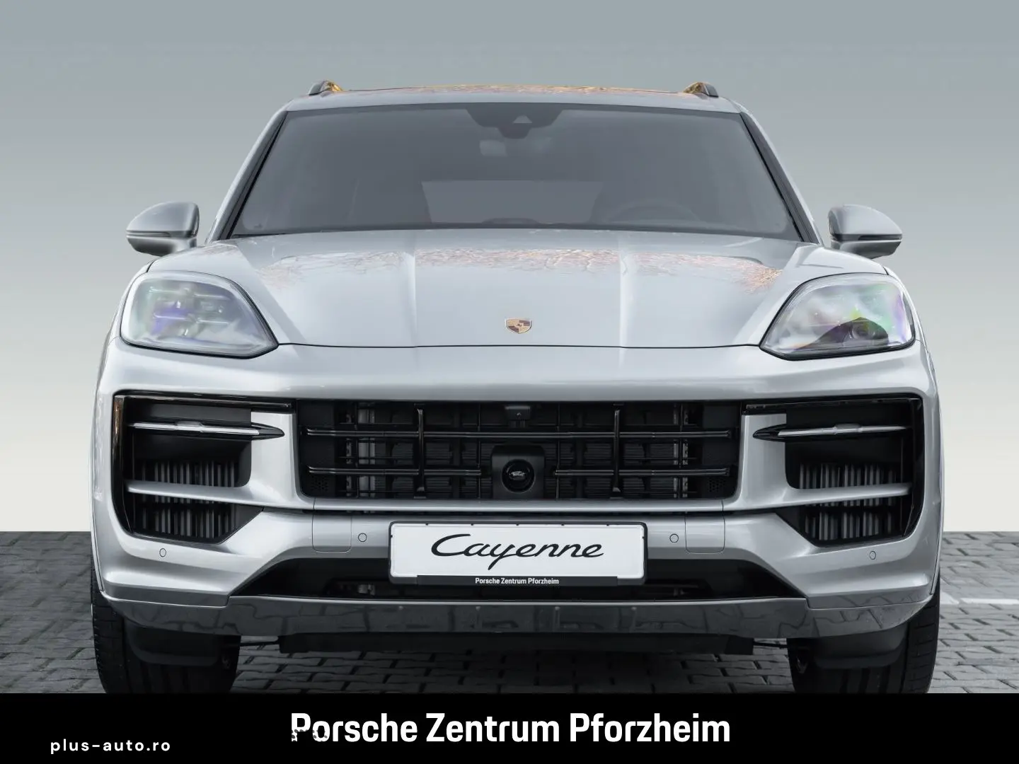 PORSCHE Cayenne E-Hybrid Sportabgas