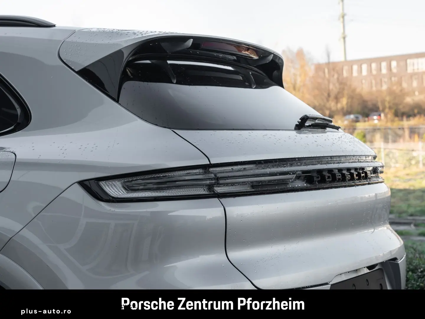 PORSCHE Cayenne E-Hybrid Sportabgas