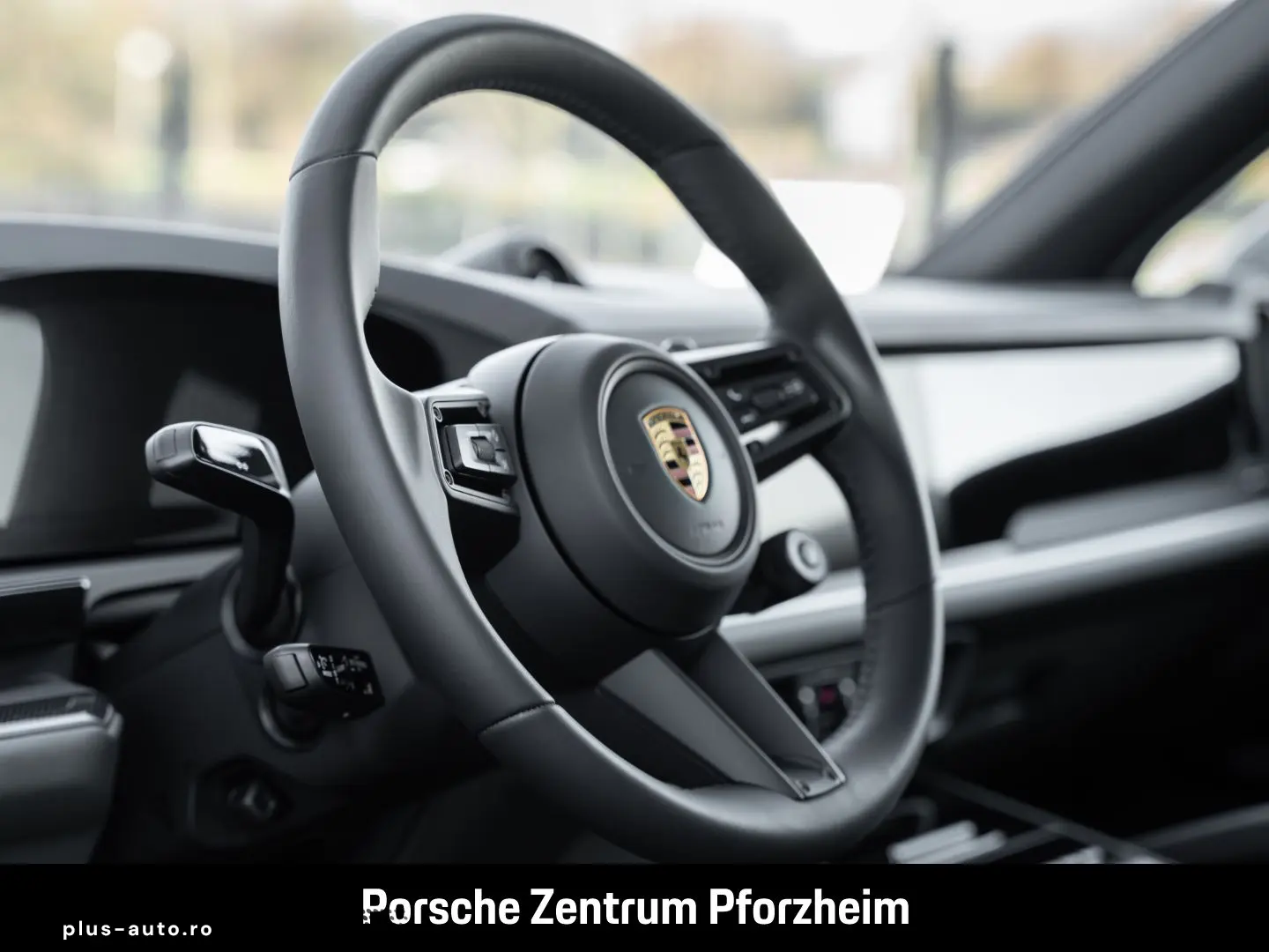 PORSCHE Cayenne E-Hybrid Sportabgas