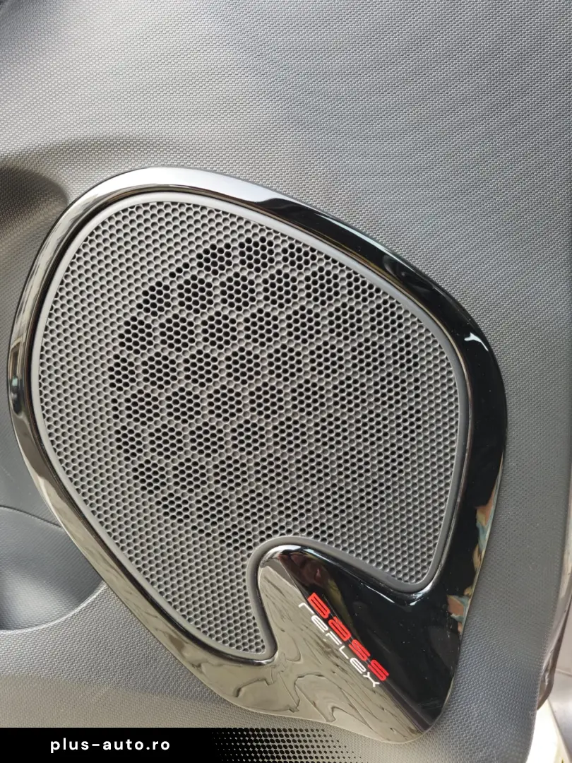 Renault Clio 2014 Camera Automat