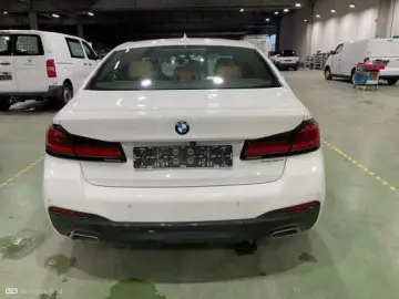 BMW 5er - 530 e M Sport (EURO 6d)(OPF)