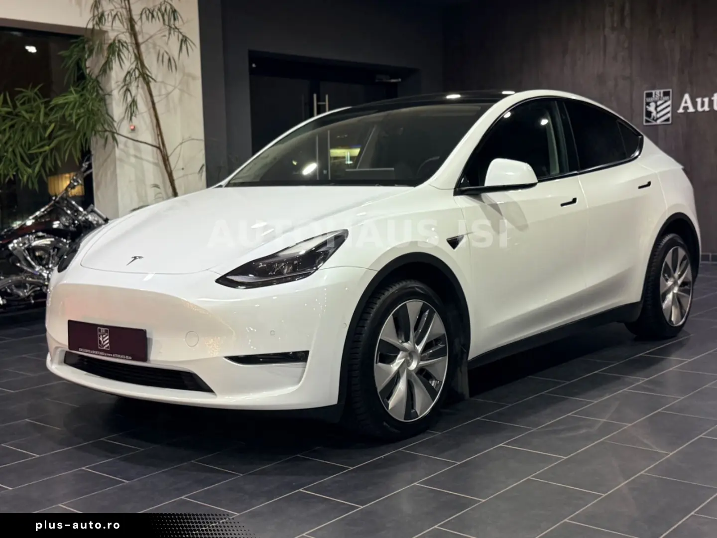 TESLA Model Y Long Range Dual AWD