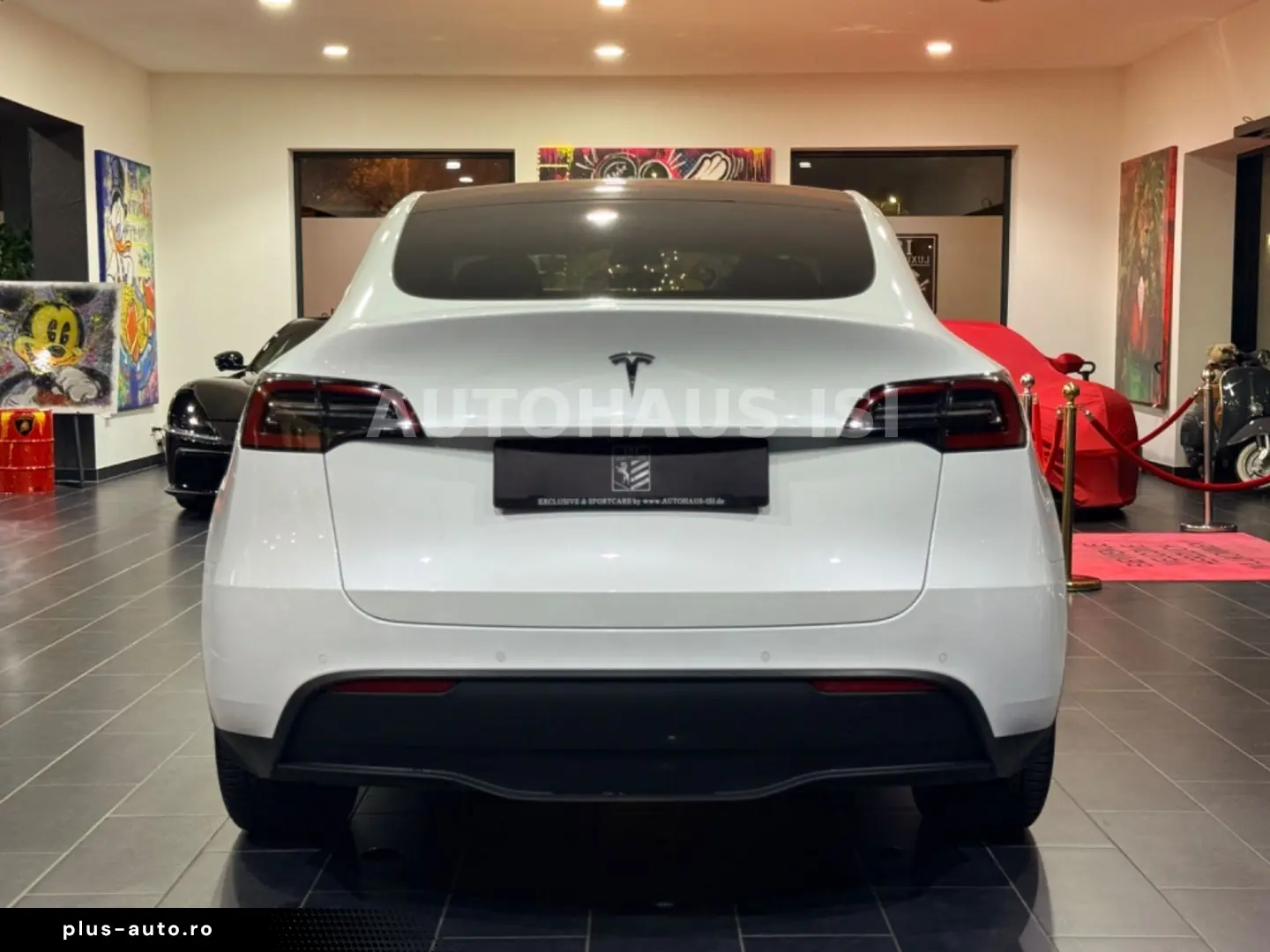 TESLA Model Y Long Range Dual AWD