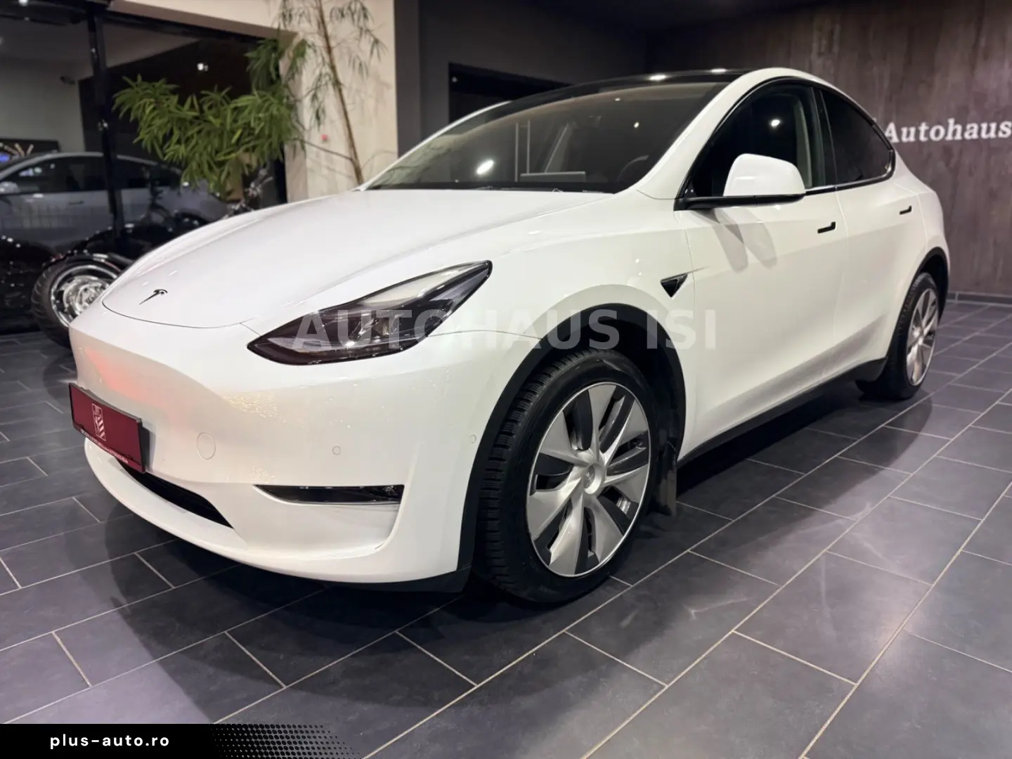 TESLA Model Y Long Range Dual AWD