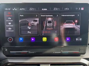 CUPRA Formentor VZ 2.0 TSI BREMBO PANO AHK BEATS 360