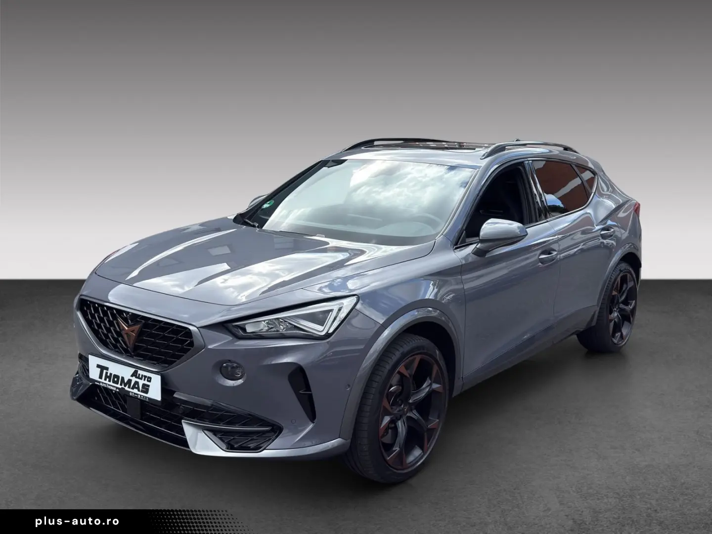 CUPRA Formentor VZ 2.0 TSI DSG AHK PANO BEATS