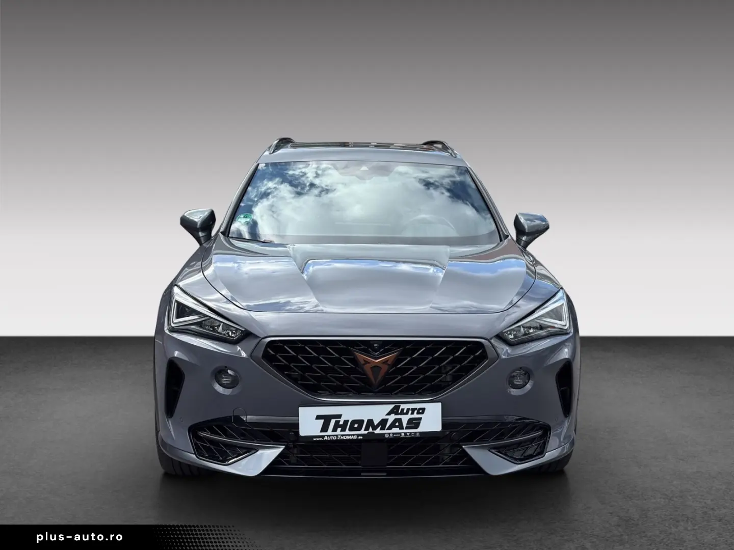 CUPRA Formentor VZ 2.0 TSI DSG AHK PANO BEATS