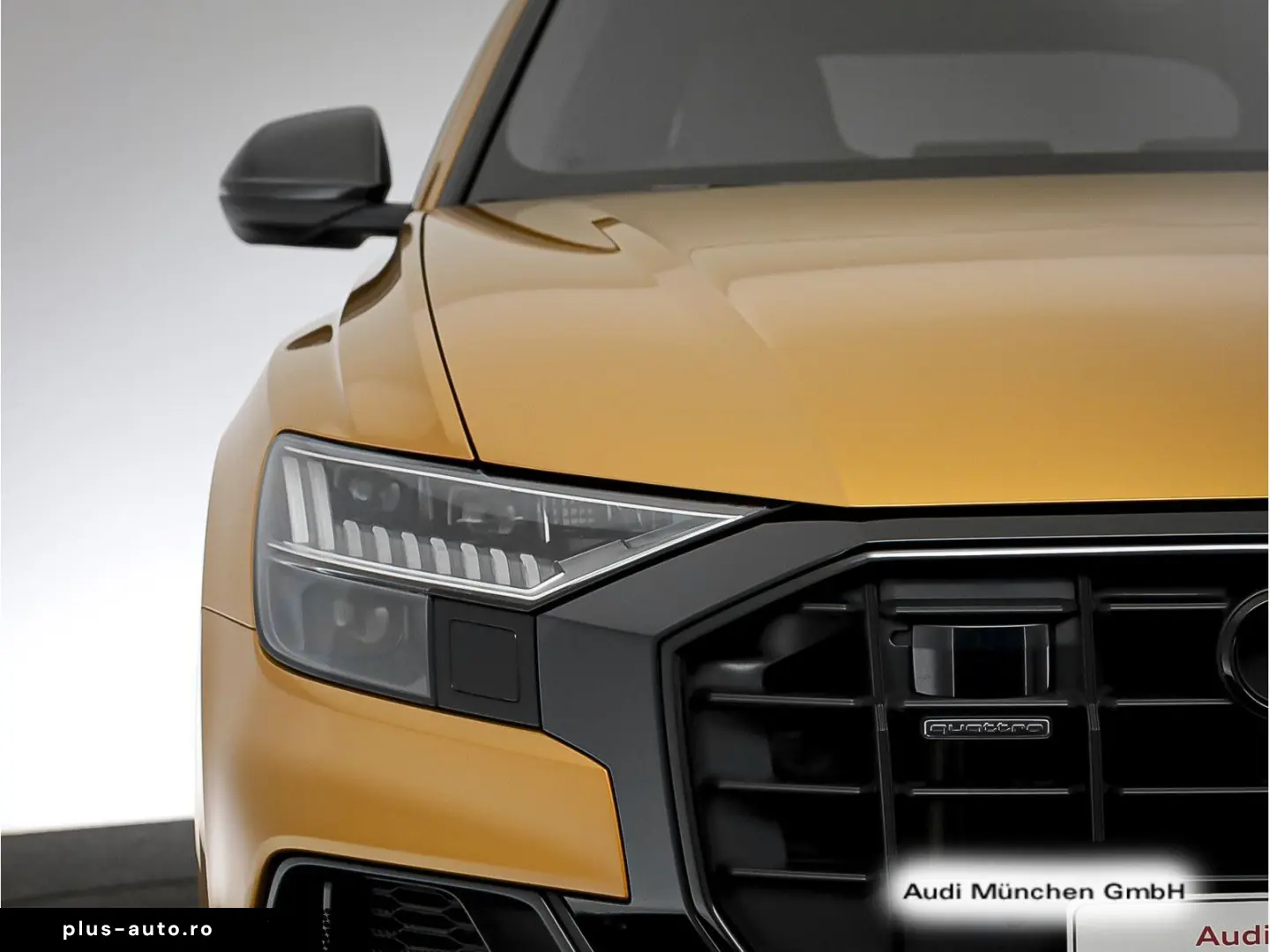 AUDI Q8 55 TFSI qu. tiptr. Pano LuftFed ACC