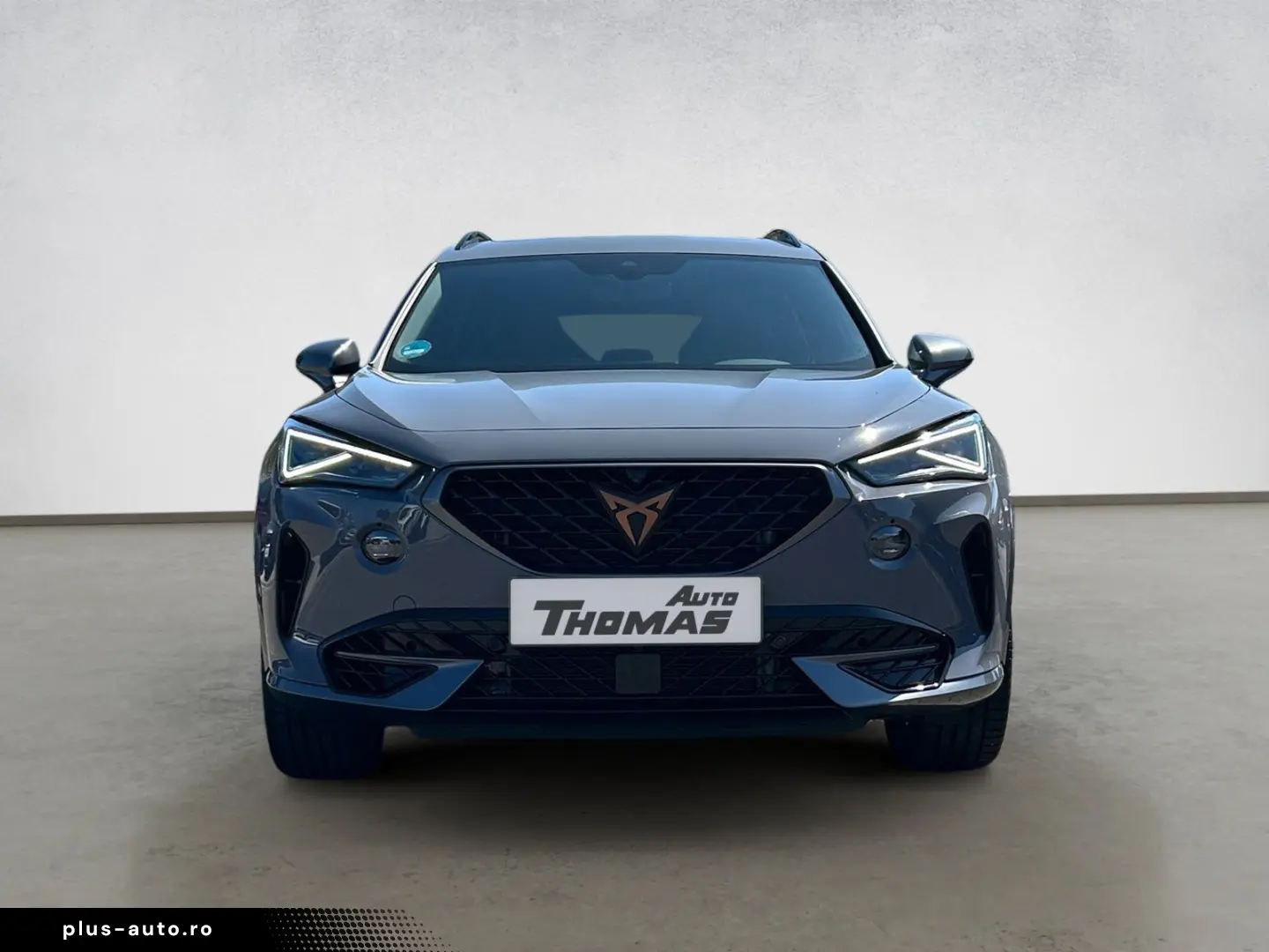 CUPRA Formentor VZ 4Drive 2.0TSI DSG 310PS Schiebedach