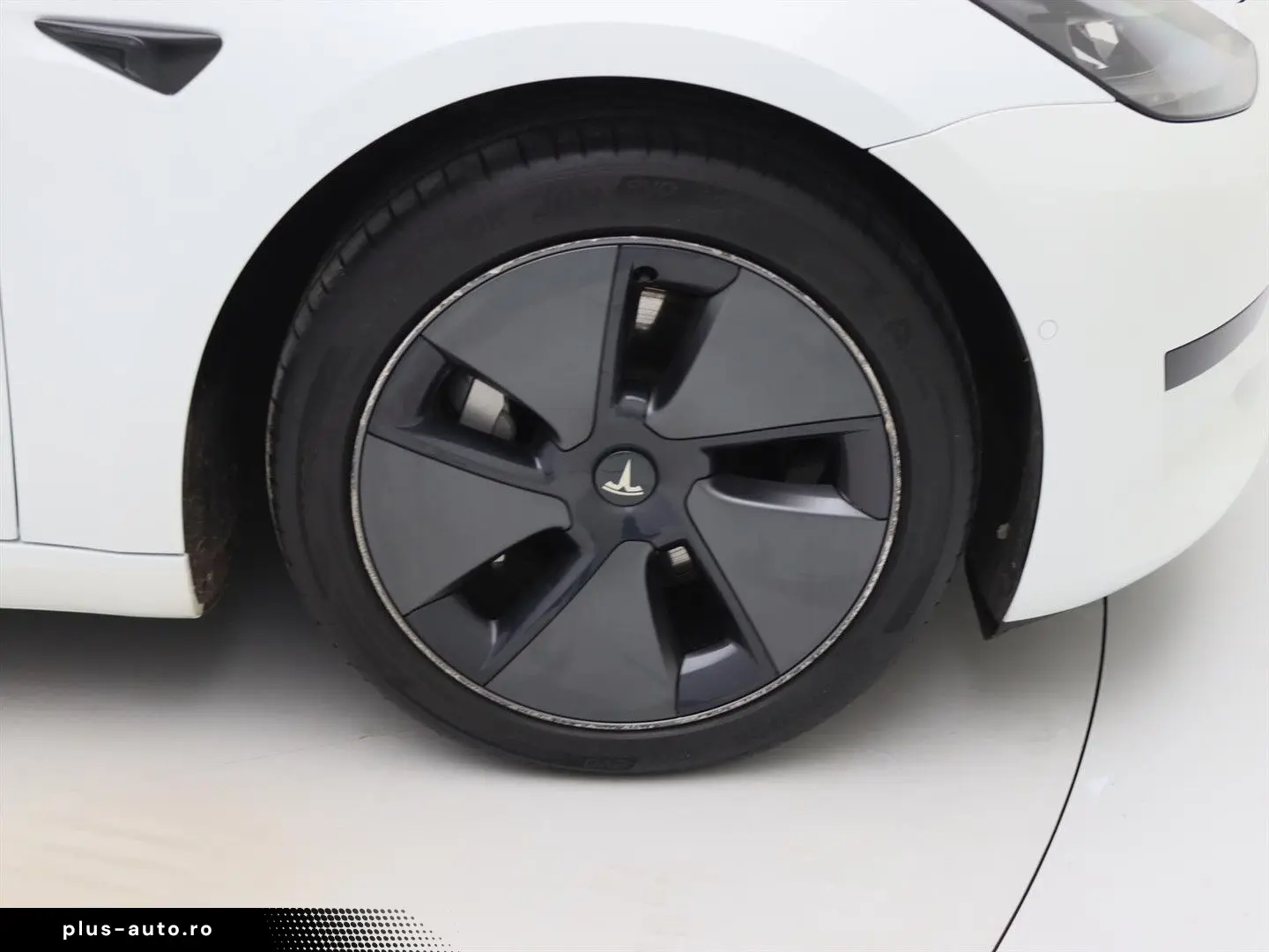 TESLA Model 3 Standard RWD Plus FACELIFT [ LFP ACCU WA