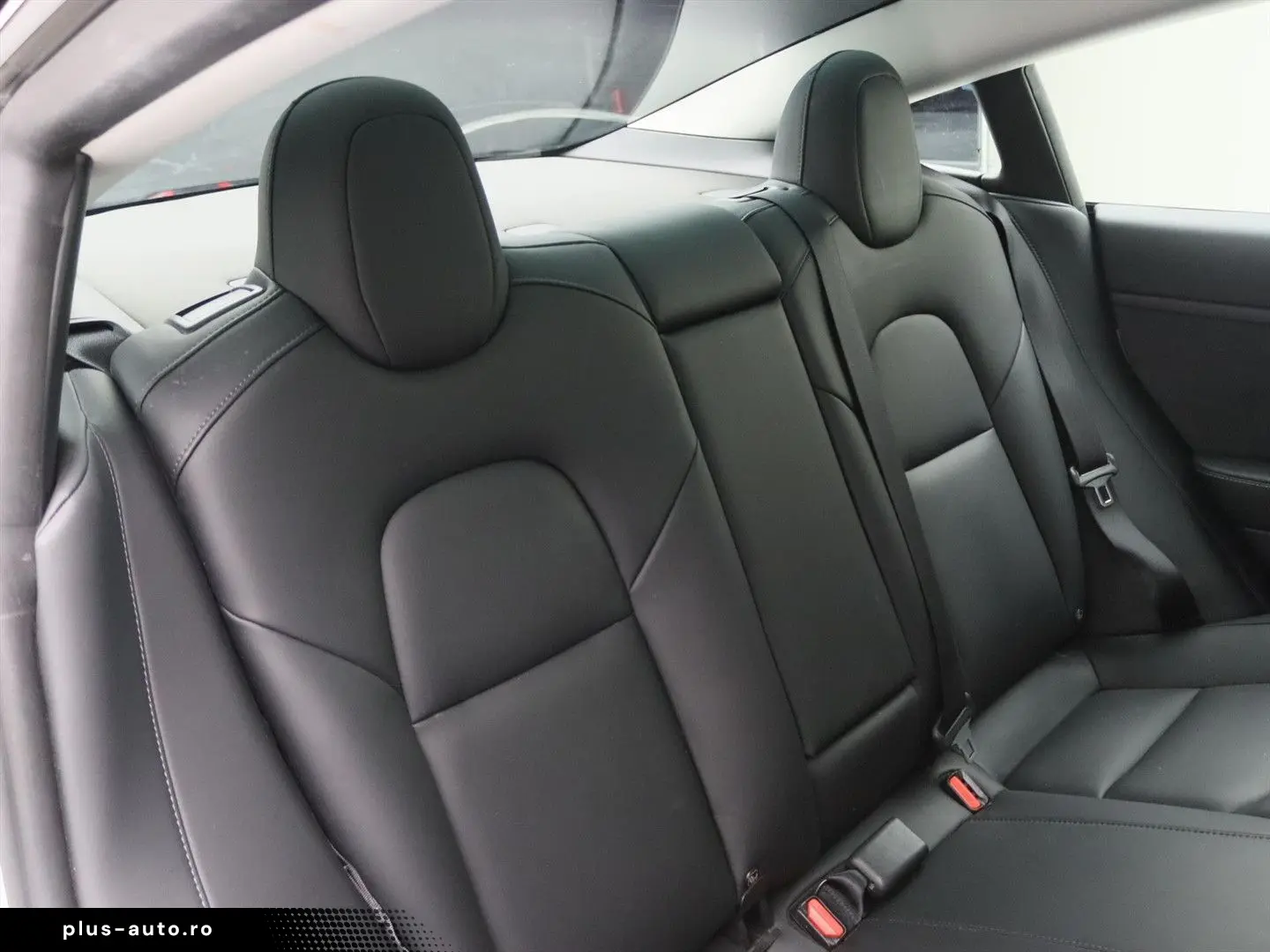 TESLA Model 3 Standard RWD Plus FACELIFT [ LFP ACCU WA