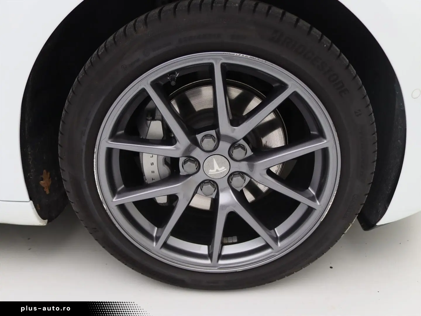 TESLA Model 3 Standard RWD Plus FACELIFT [ LFP ACCU WA