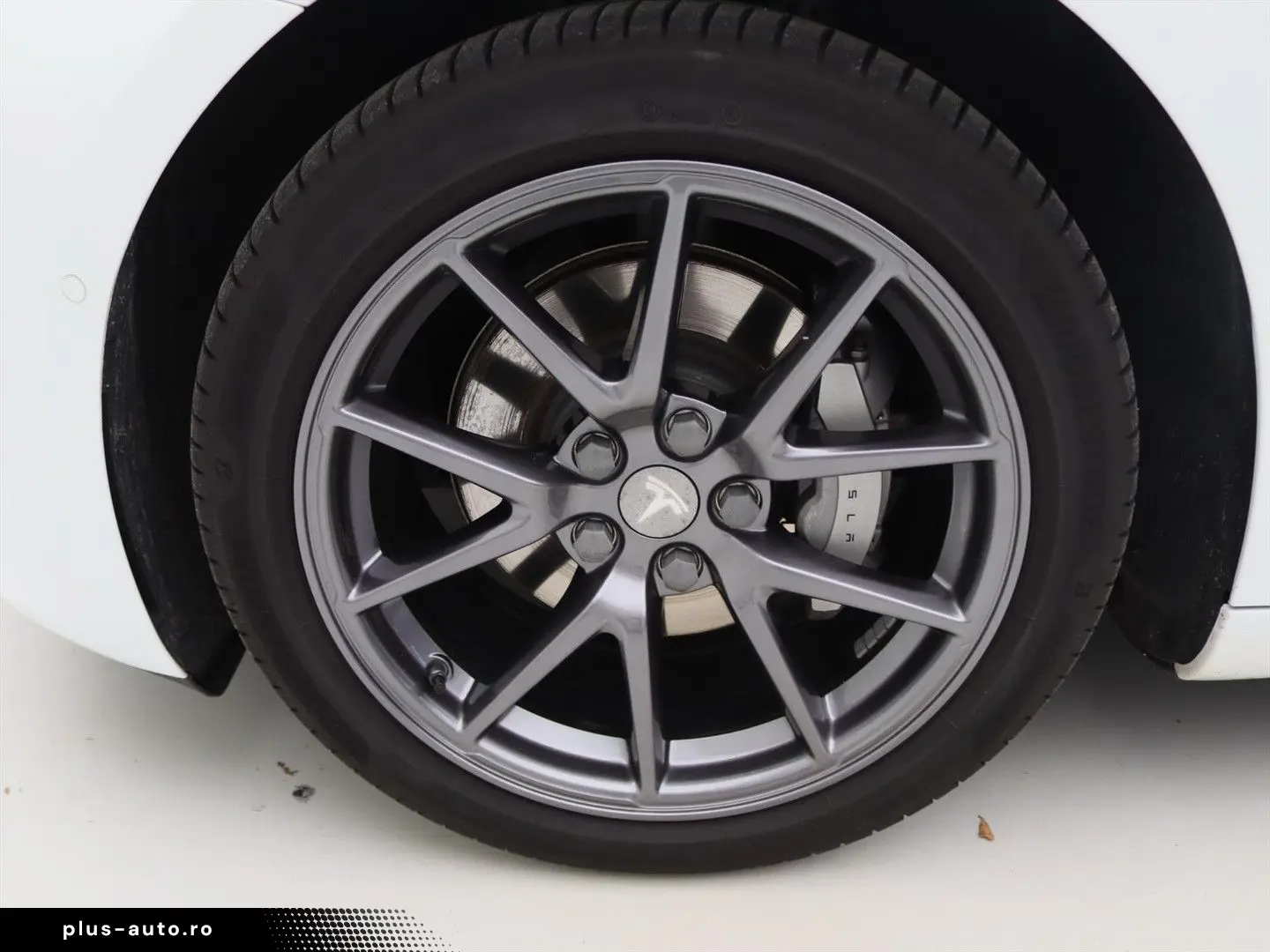 TESLA Model 3 Standard RWD Plus FACELIFT [ LFP ACCU WA