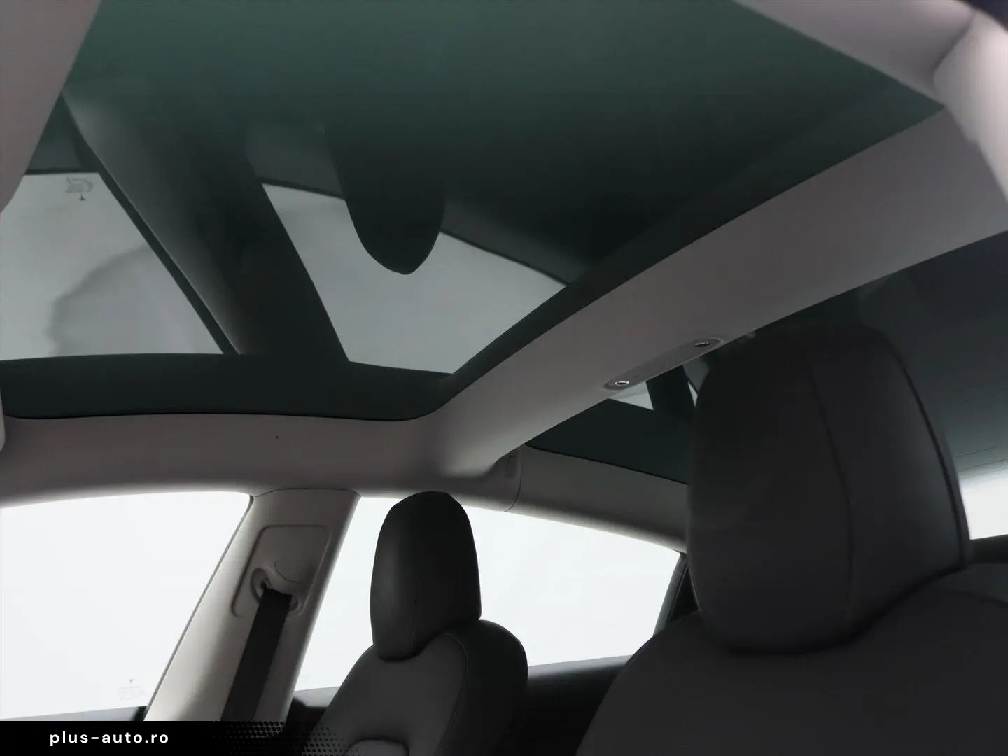 TESLA Model 3 Standard RWD Plus FACELIFT [ LFP ACCU WA