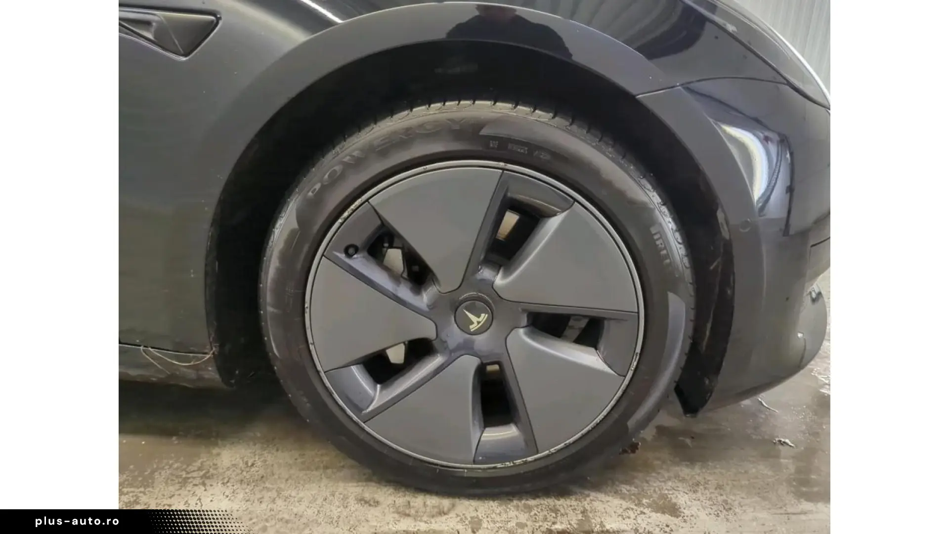 TESLA Model 3 Standard RWD Plus FACELIFT [ LFP ACCU WA