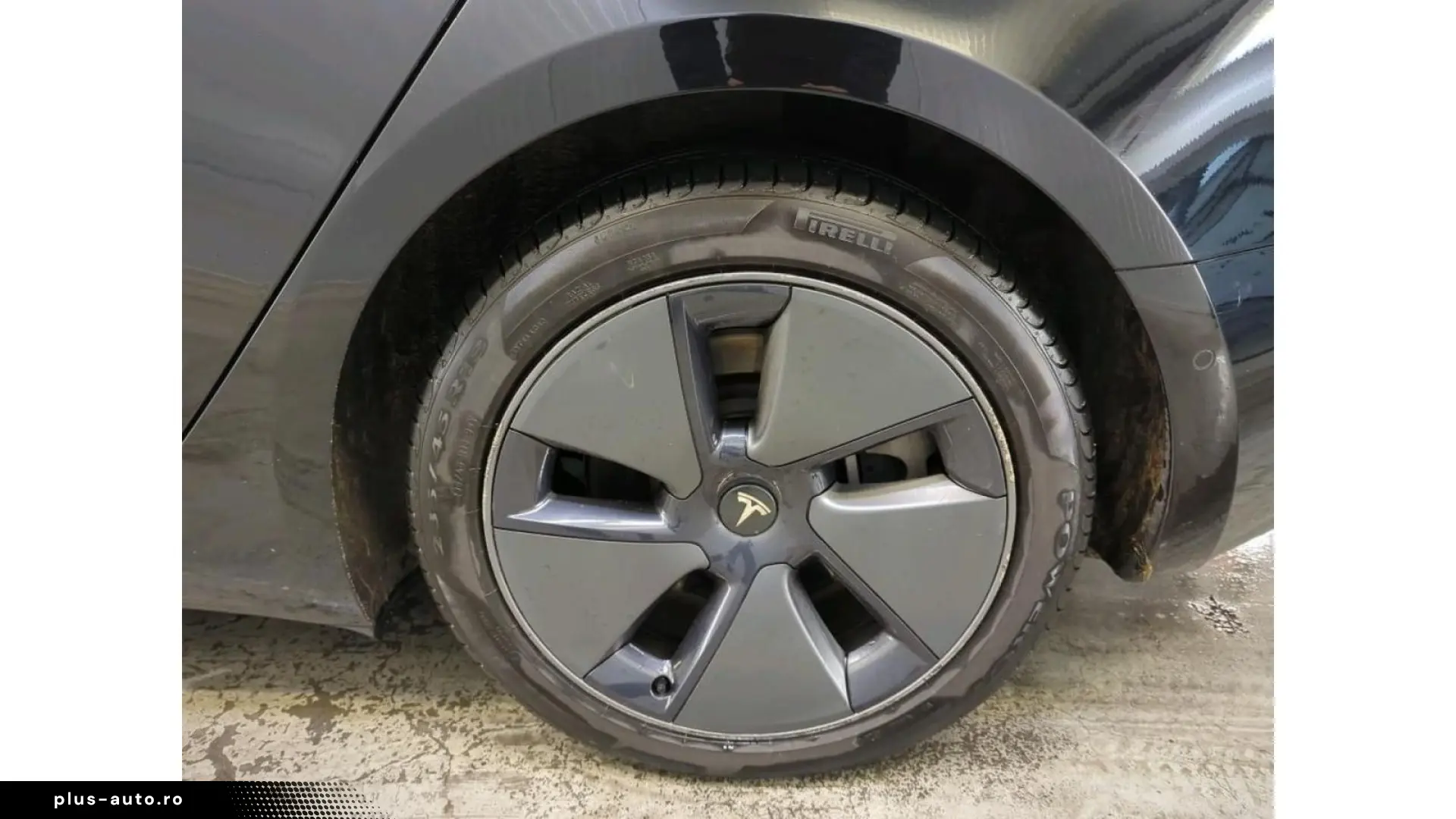 TESLA Model 3 Standard RWD Plus FACELIFT [ LFP ACCU WA