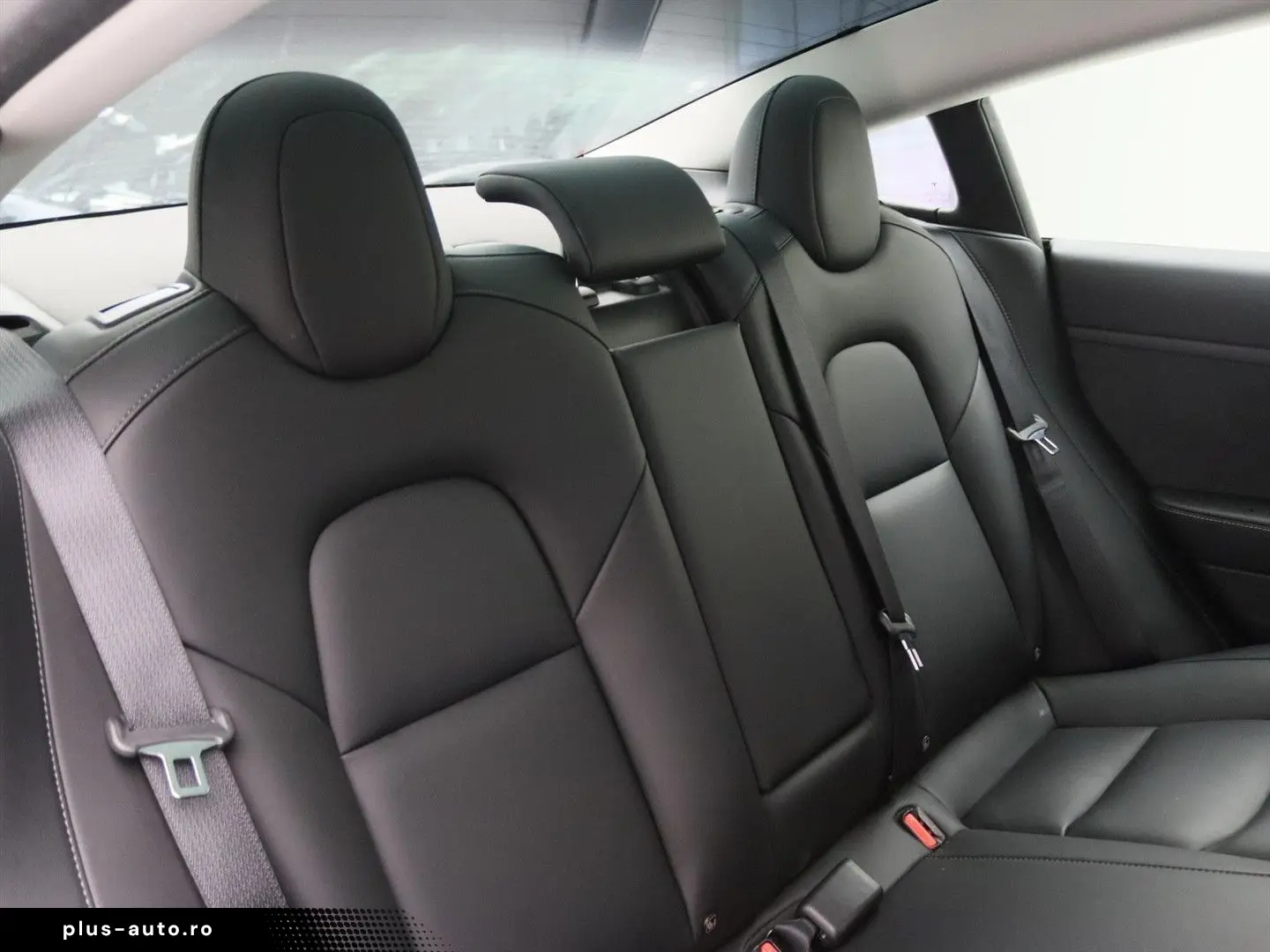 TESLA Model 3 Standard RWD Plus FACELIFT [ LFP ACCU WA