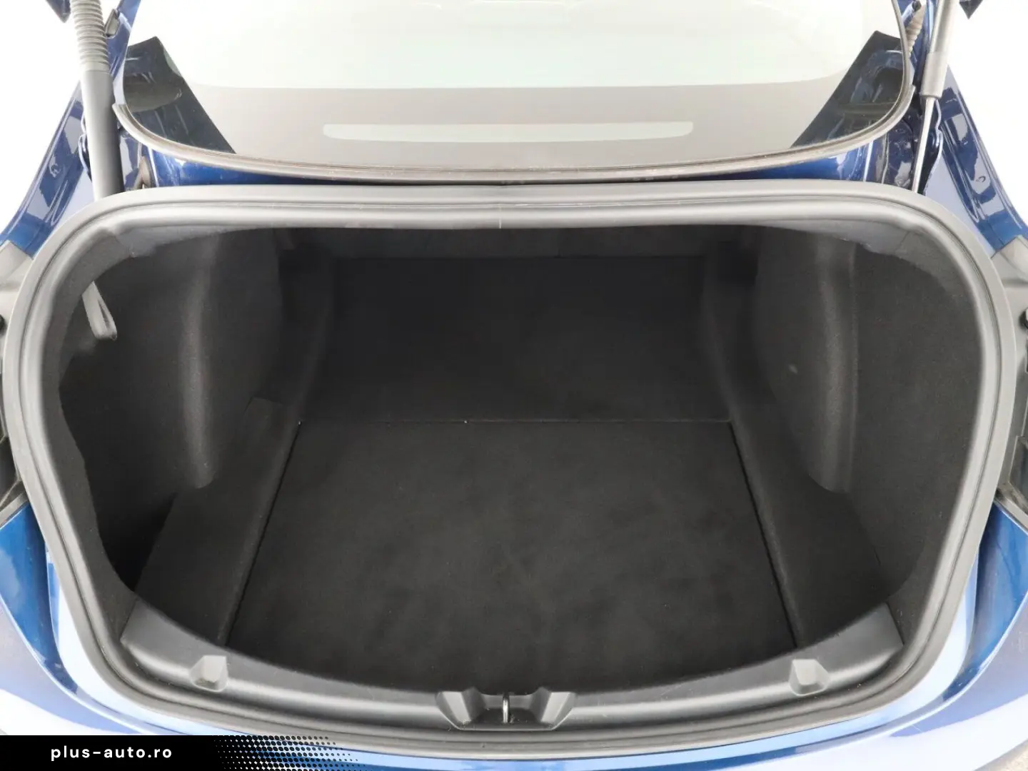 TESLA Model 3 Std Range Plus 55kWh 2021   Automatik