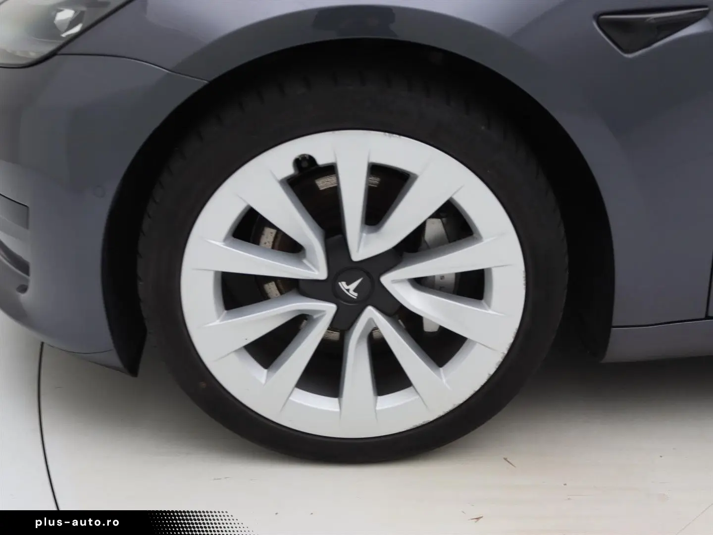 TESLA Model 3 Standard RWD Plus FACELIFT [ LFP ACCU WA