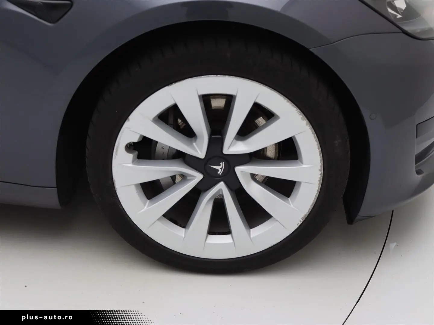 TESLA Model 3 Standard RWD Plus FACELIFT [ LFP ACCU WA