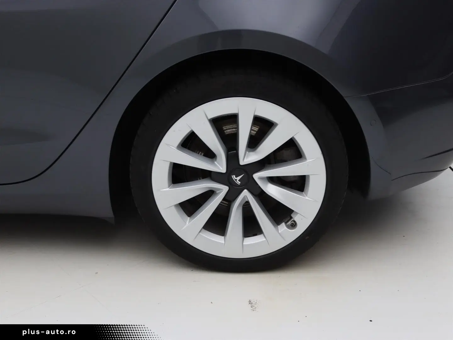 TESLA Model 3 Standard RWD Plus FACELIFT [ LFP ACCU WA