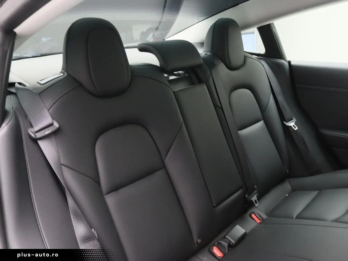 TESLA Model 3 Standard RWD Plus FACELIFT [ LFP ACCU WA