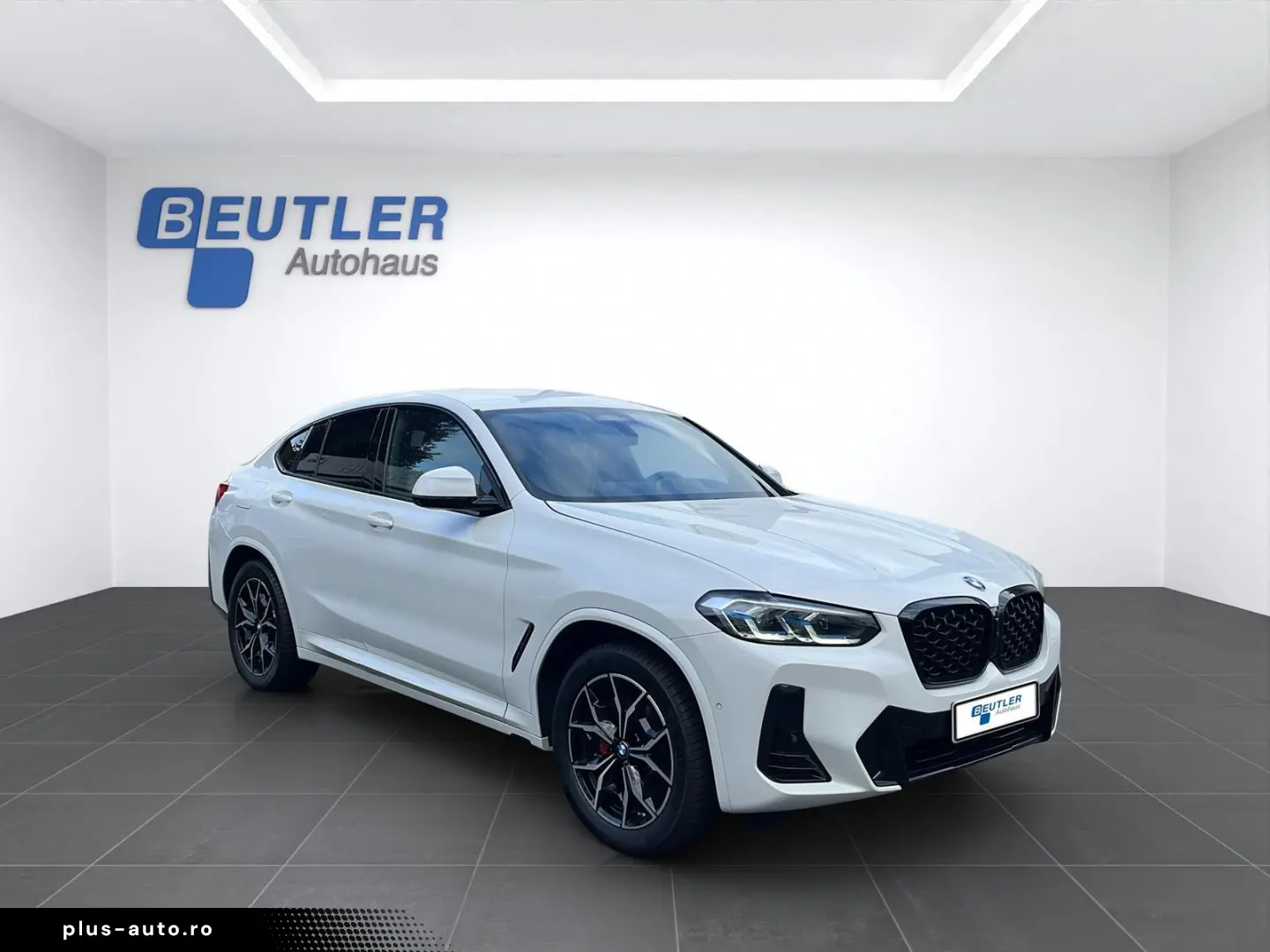 BMW X4 xDrive20i M Sport 19  HUD 360 Kam Standheizun