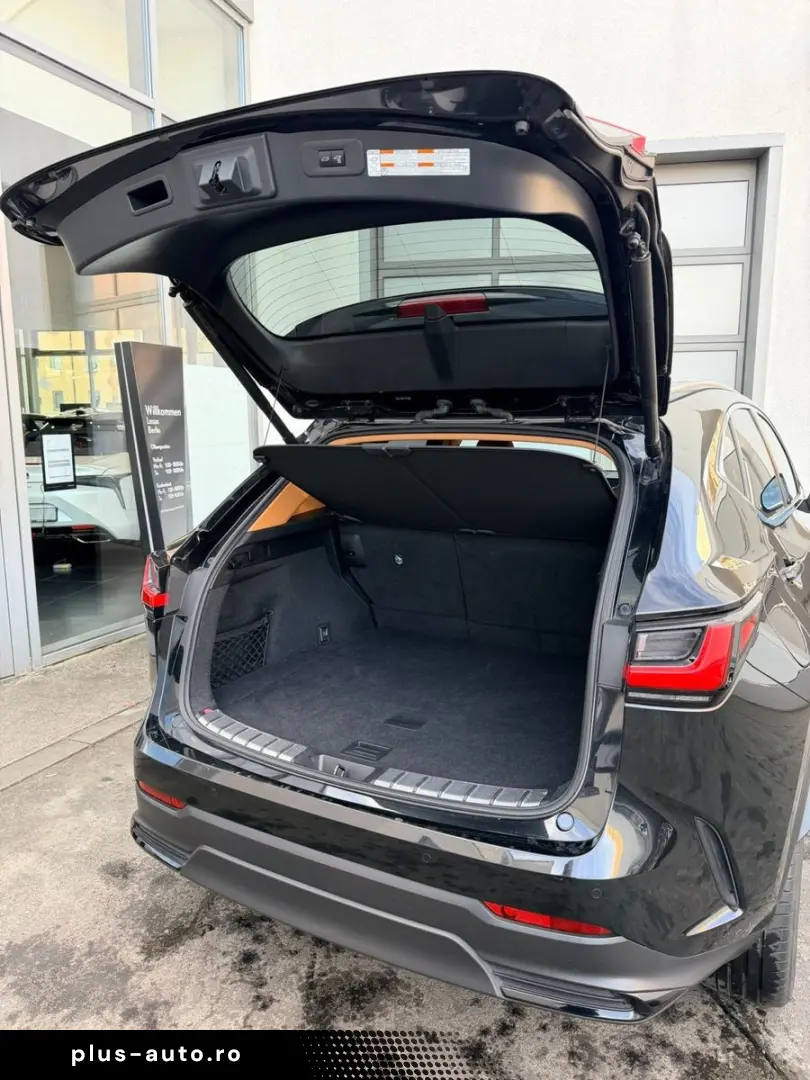 LEXUS NX 450h  E-Four Luxury Line   360 Kamera