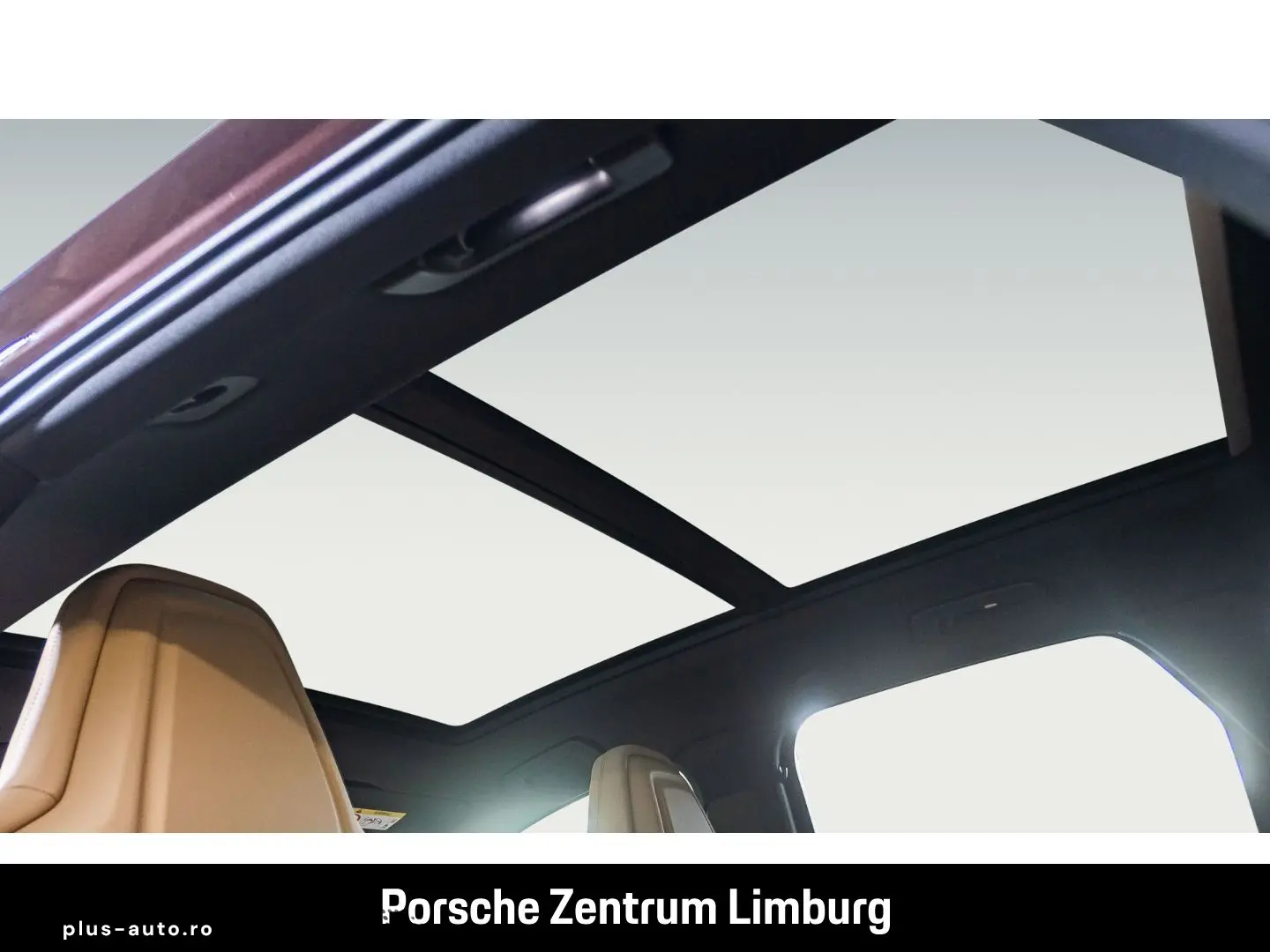 PORSCHE Cayenne E-Hybrid Platinum Edition Surround-View