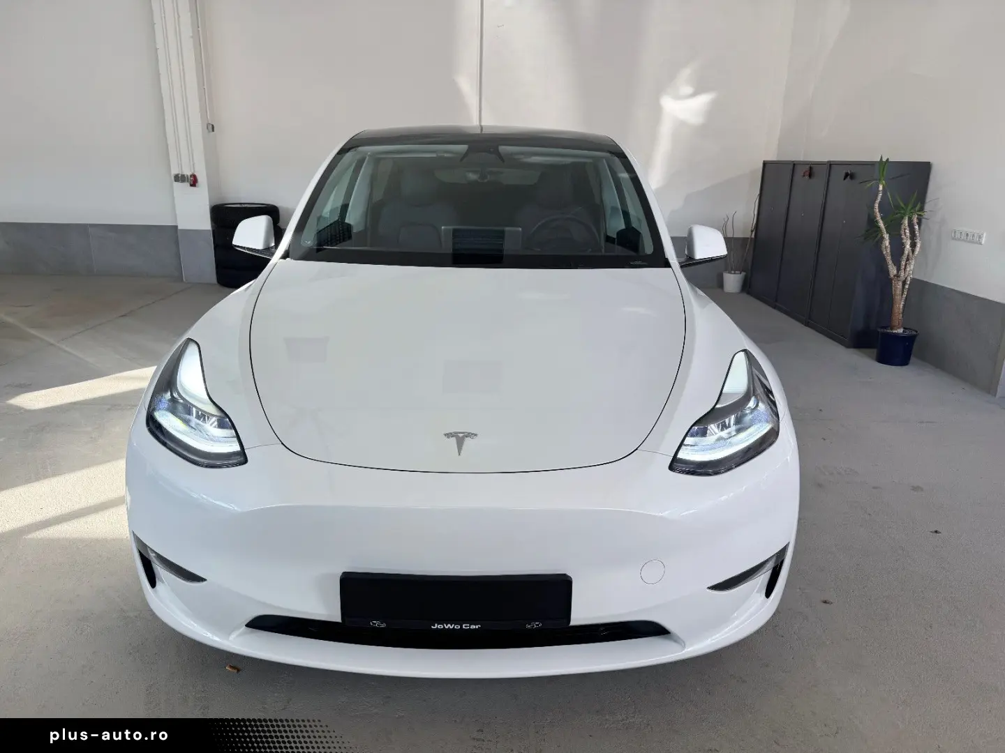 TESLA Model Y Long Range Dual Motor AWD