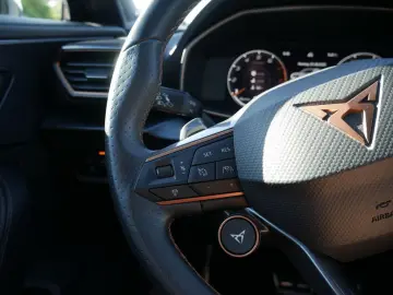 CUPRA Formentor 2.0 TSI VZ 4Drive MATT COPPER BEATS