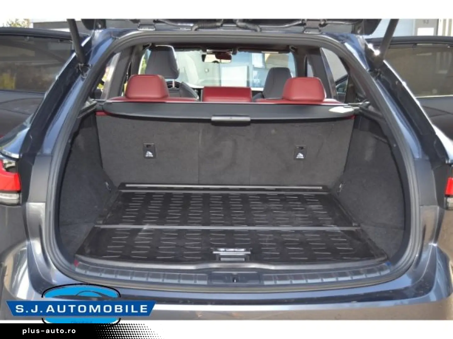 LEXUS RX 500h DIRECT4 F SPORT