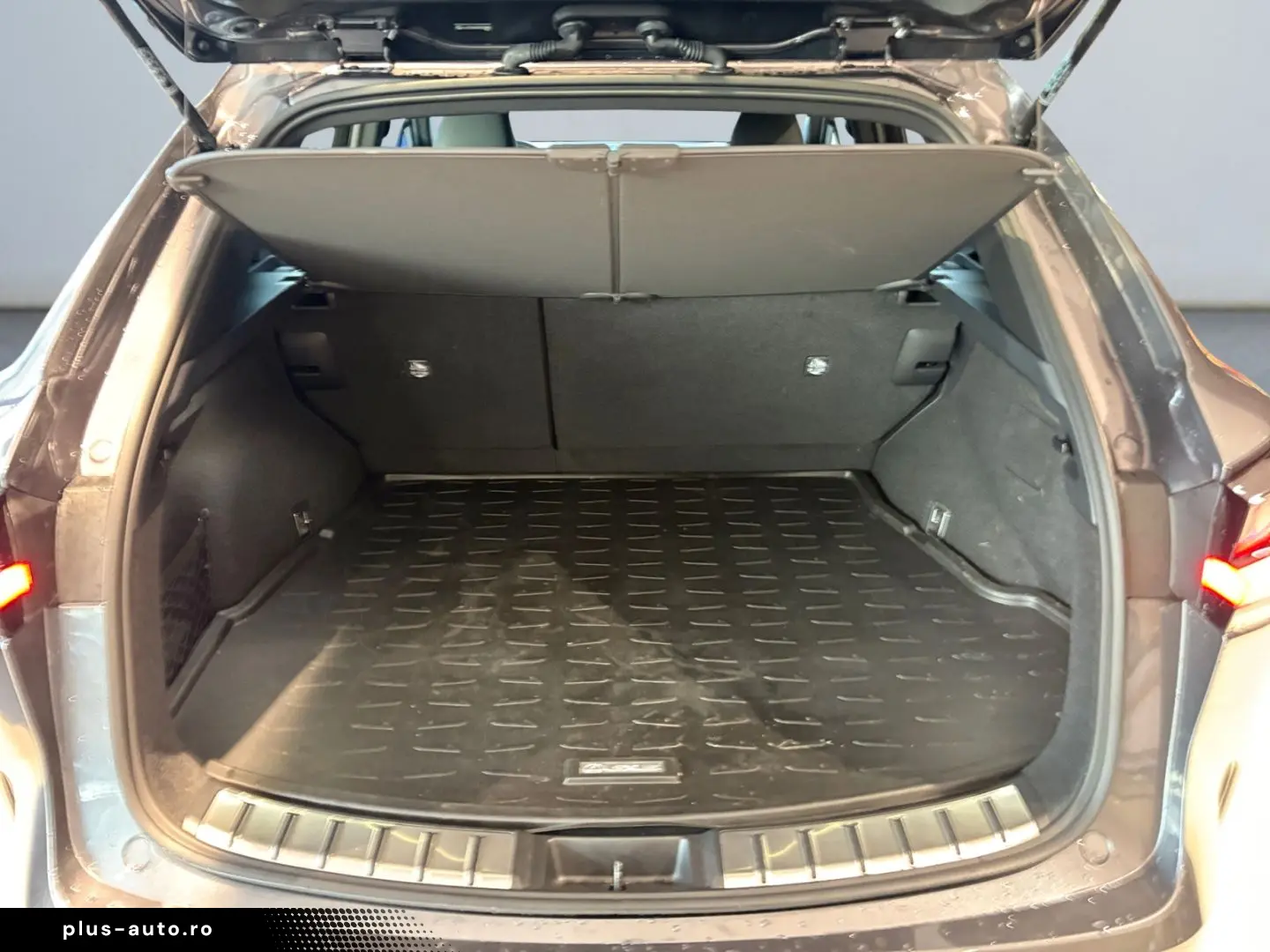 LEXUS NX 350h  Bi-LED ACC CAM Navi CarPlay Soundsystem