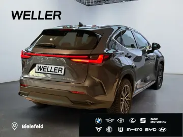 LEXUS NX 350h  Bi-LED ACC CAM Navi CarPlay Soundsystem