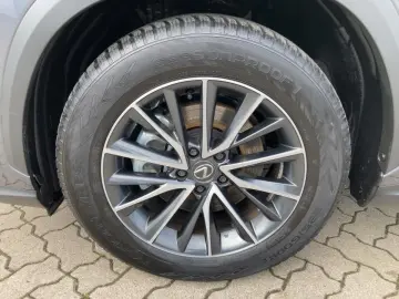 LEXUS NX 350h Executive Line SHZ NAVI 360  KAMERA GJR