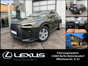 LEXUS NX 350h E-Four Luxury Line   Panoramadach   Wint