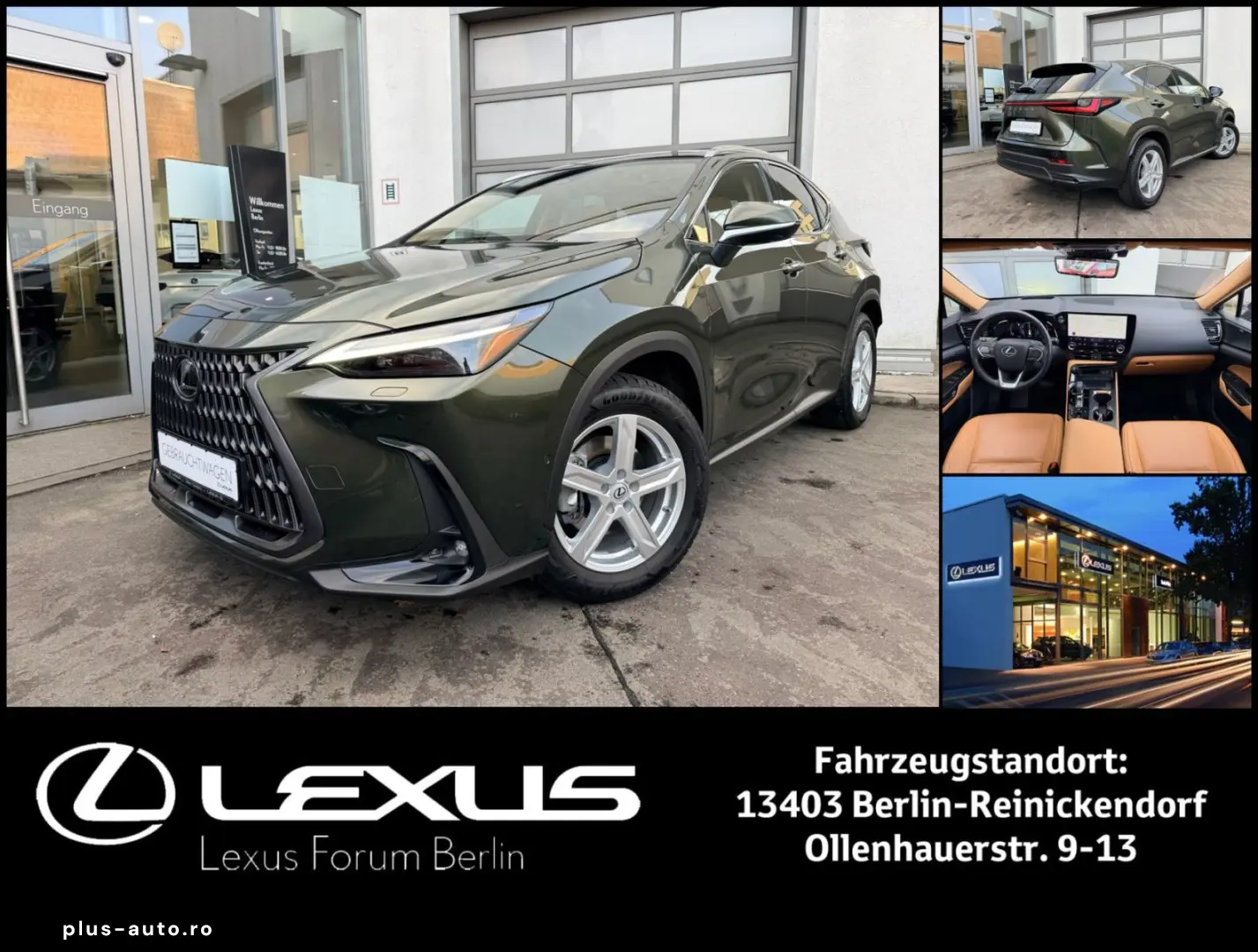 LEXUS NX 350h E-Four Luxury Line   Panoramadach   Wint