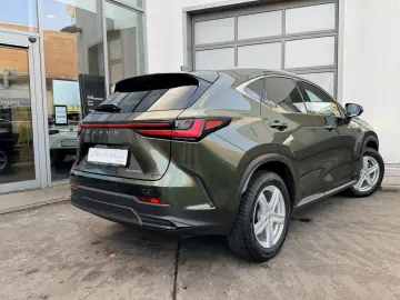 LEXUS NX 350h E-Four Luxury Line   Panoramadach   Wint