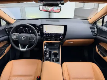 LEXUS NX 350h E-Four Luxury Line   Panoramadach   Wint
