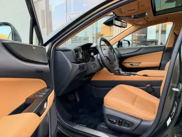 LEXUS NX 350h E-Four Luxury Line   Panoramadach   Wint