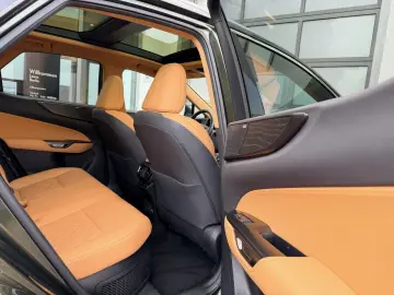 LEXUS NX 350h E-Four Luxury Line   Panoramadach   Wint