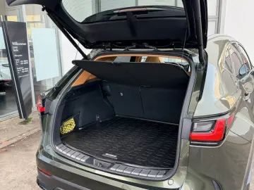 LEXUS NX 350h E-Four Luxury Line   Panoramadach   Wint