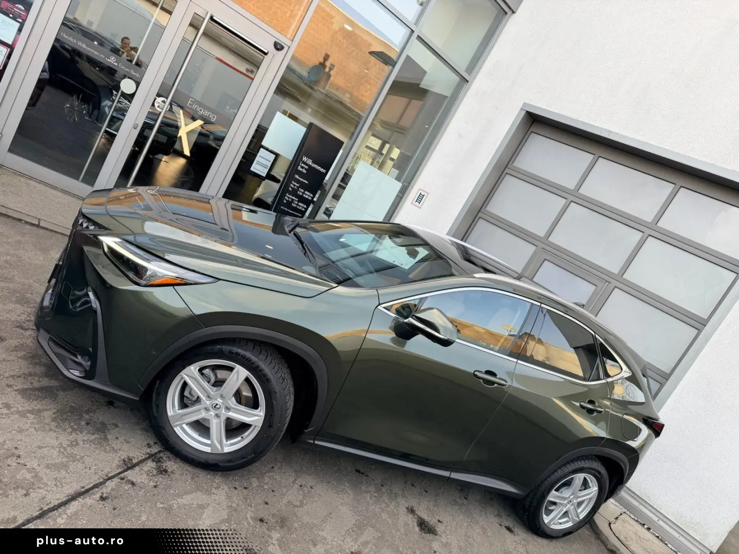 LEXUS NX 350h E-Four Luxury Line   Panoramadach   Wint