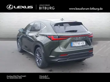 LEXUS NX 450 Executive  Interieur-Paket HUD   FLA LM