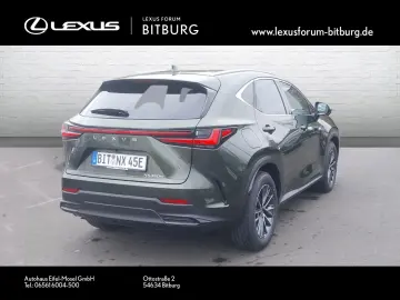 LEXUS NX 450 Executive  Interieur-Paket HUD   FLA LM