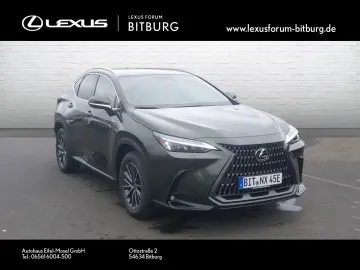 LEXUS NX 450 Executive  Interieur-Paket HUD   FLA LM