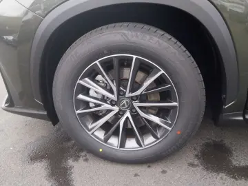 LEXUS NX 450 Executive  Interieur-Paket HUD   FLA LM