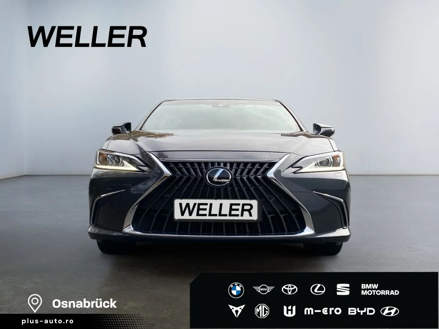 LEXUS ES 300 h Executive Line  Bi-LED Leder GSD