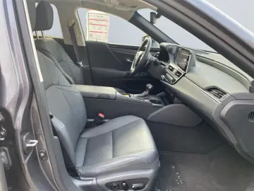 LEXUS ES 300 h Executive Line  Bi-LED Leder GSD